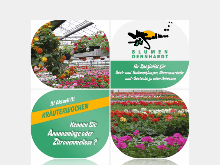 www.blumen-dennhardt.com