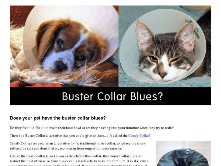 www.bustercollar.com