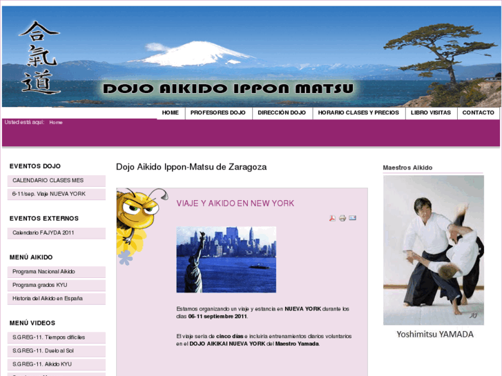 www.ipponmatsudojo.es