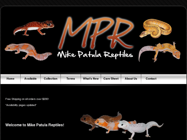 www.mikepatulareptiles.com