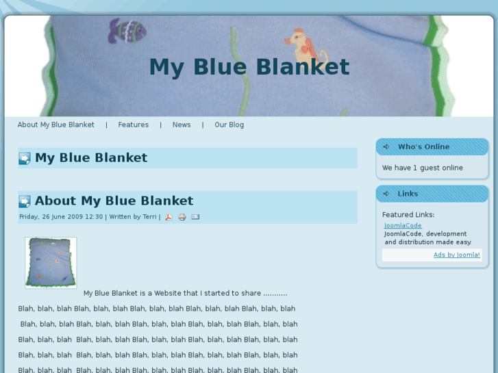 www.myblueblanket.com