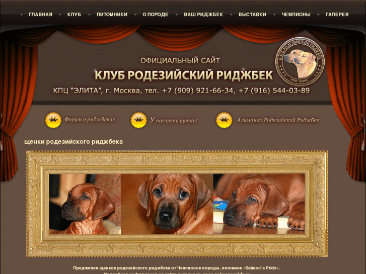 www.ridgeback-elita.org