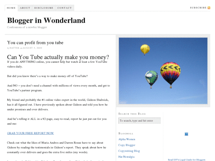 www.bloggerinwonderland.com