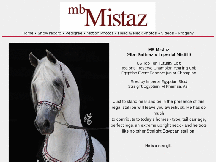 www.mbmistaz.com