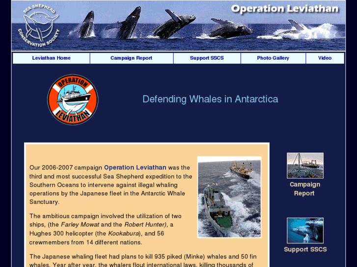 www.operationleviathan.com