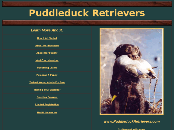 www.puddleduckretrievers.com