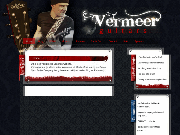 www.vermeerguitars.com