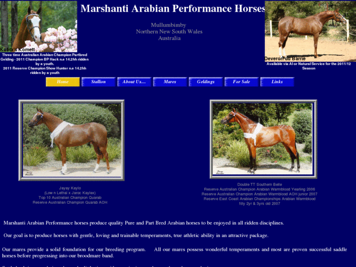 www.arabianderivatives.com