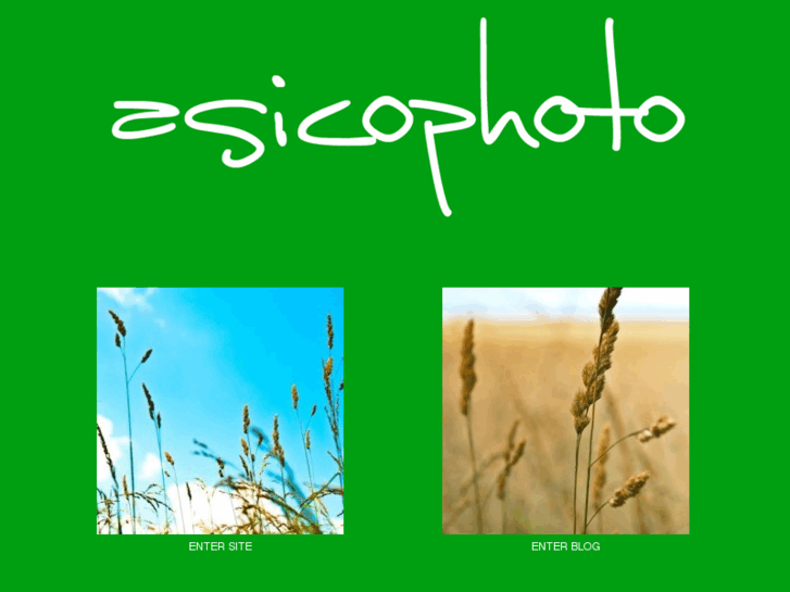 www.asicophoto.com