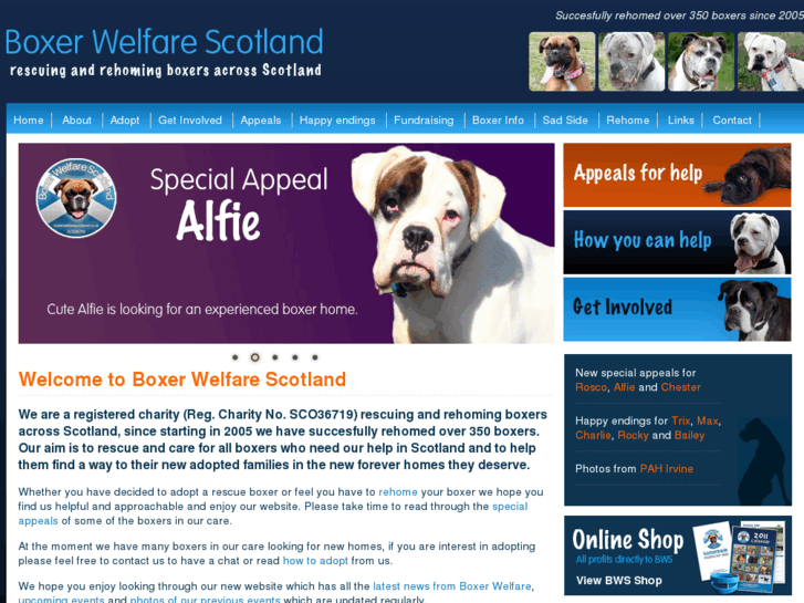 www.boxerwelfarescotland.co.uk