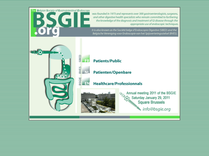 www.bsgie.org