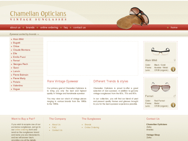 www.chamelianopticians.com