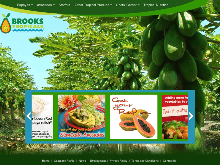 www.crpapaya.info