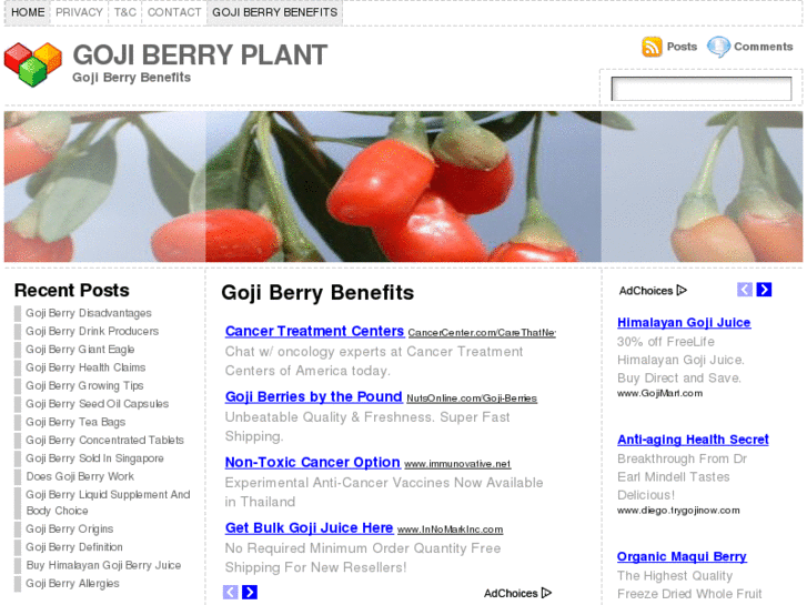 www.gojiberryplant.com