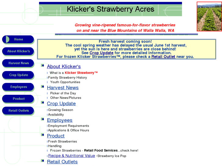 www.klickerstrawberry.com