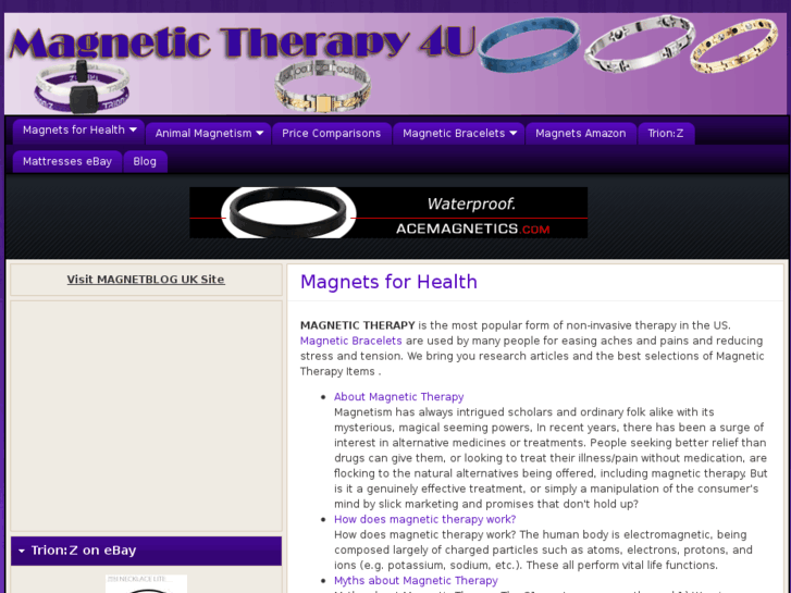 www.magnetictherapy4u.com