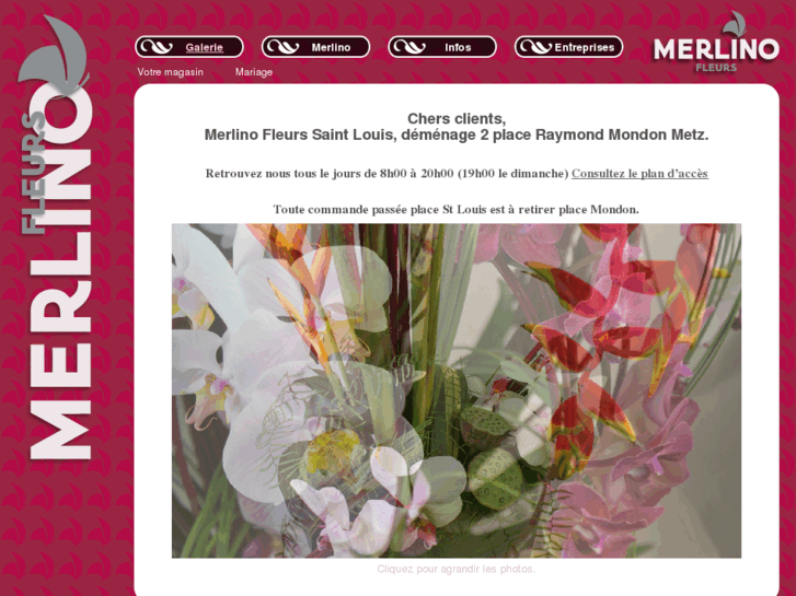 www.merlino-fleur.com