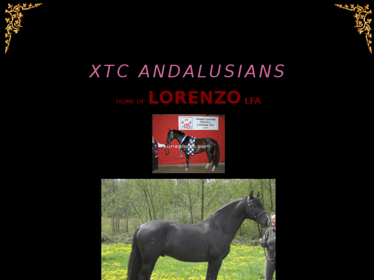 www.xtcandalusians.com