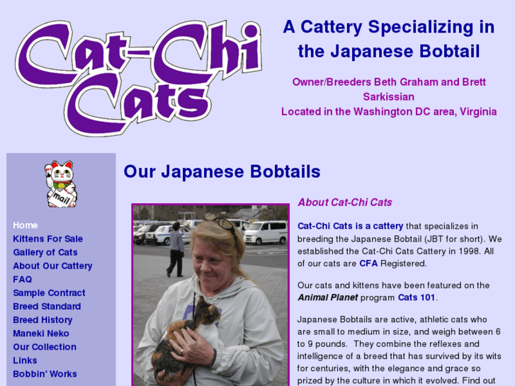 www.catchicats.com