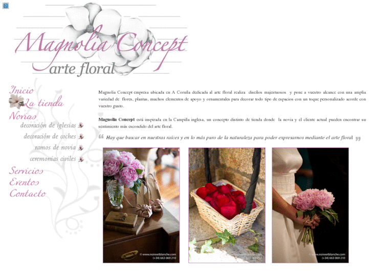 www.magnoliaconcept.com