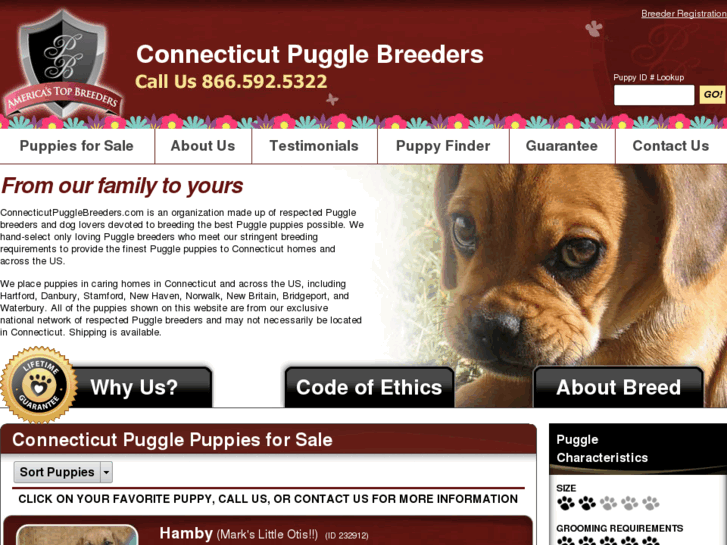 www.connecticutpugglebreeders.com