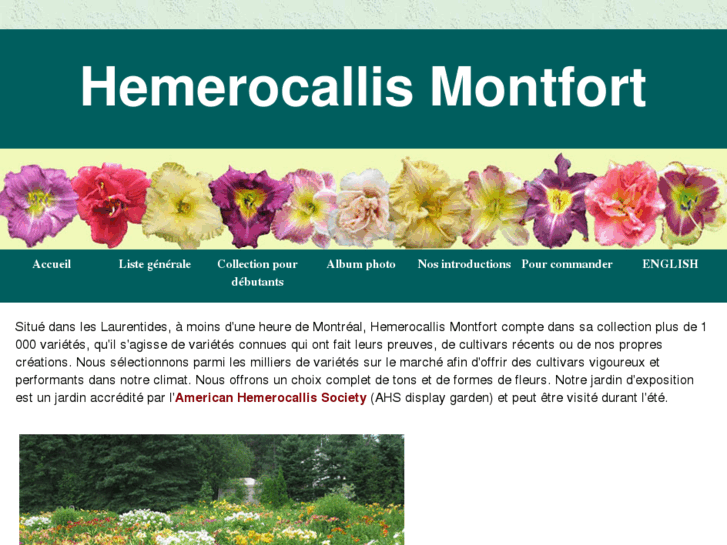 www.hemerocallismontfort.com