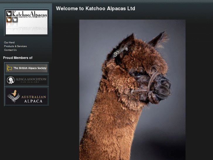 www.katchoo-alpacas.com