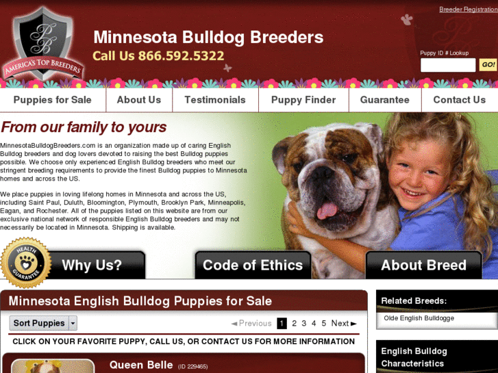 www.minnesotabulldogbreeders.com