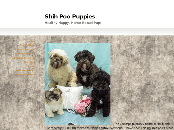 www.pawsitivelypurrfectshihpoopups.com