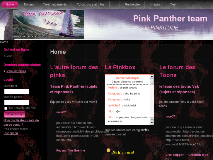 www.pink-panther-team.com