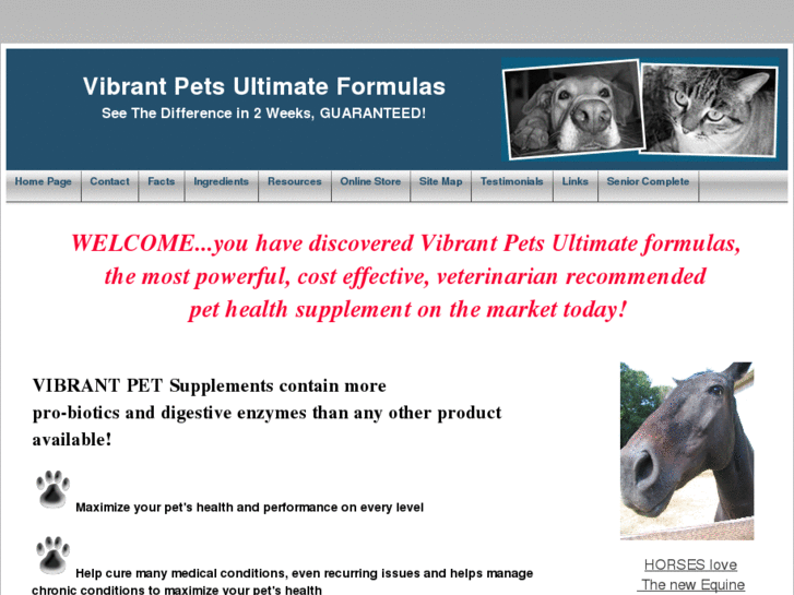 www.vibrantpetshop.com