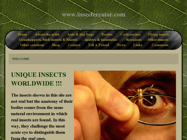 www.insectcreator.com