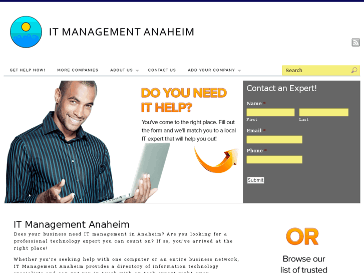 www.itmanagementanaheim.com