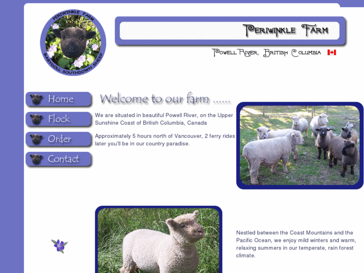 www.minisheep.com