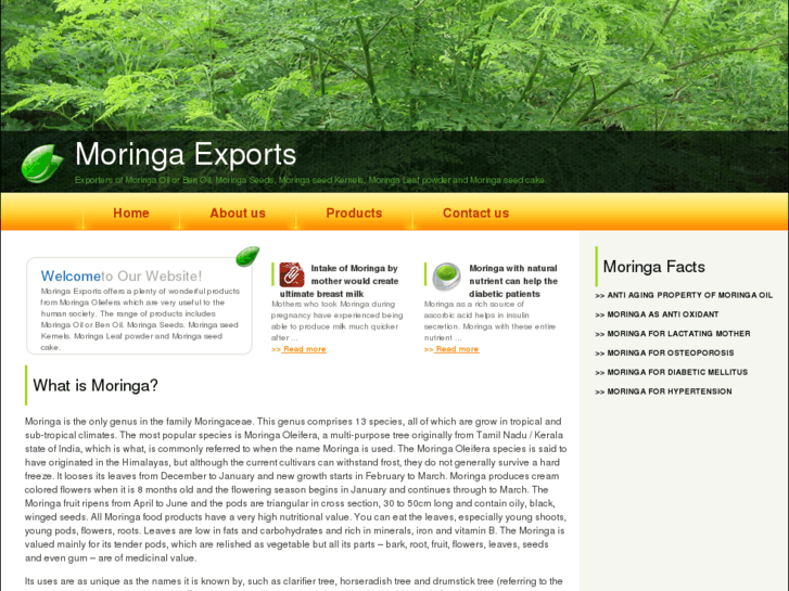 www.moringaexports.com