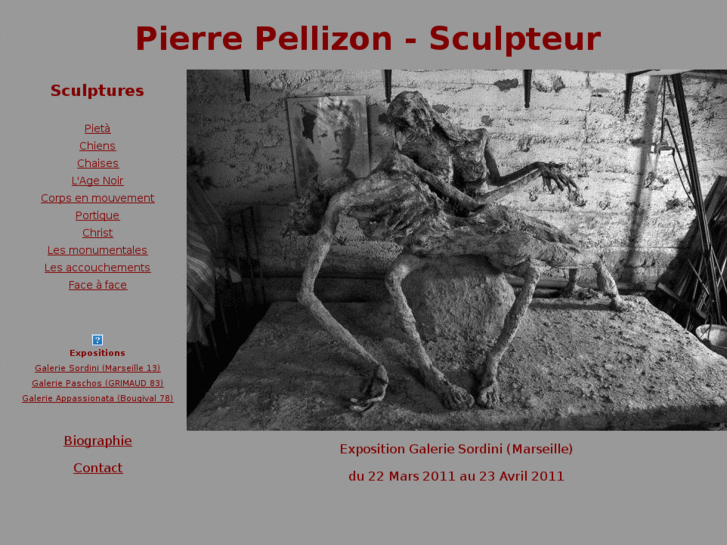 www.pellizon.com