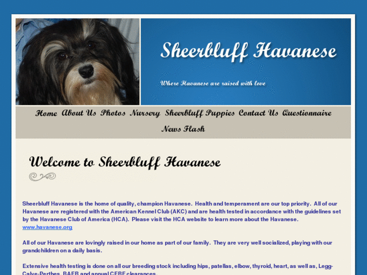 www.sheerbluffhavanese.com