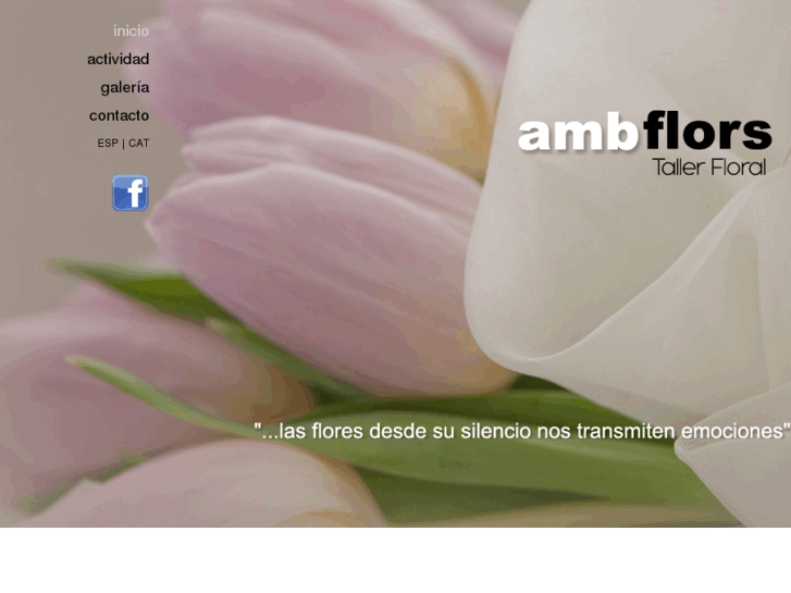 www.ambflors.com