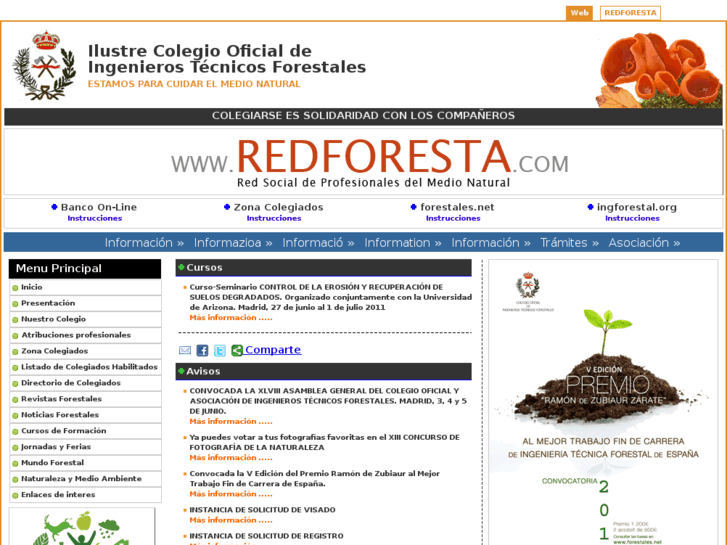 www.inforestal.com