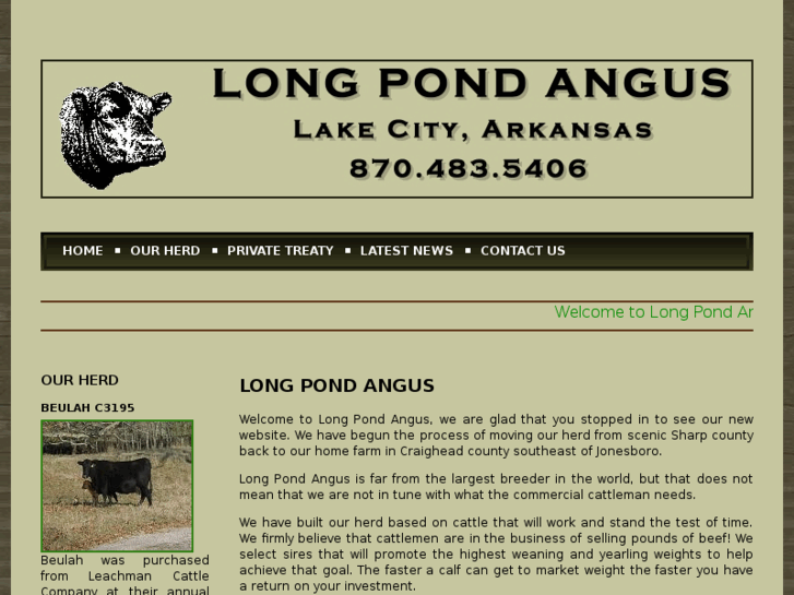 www.longpondangus.com