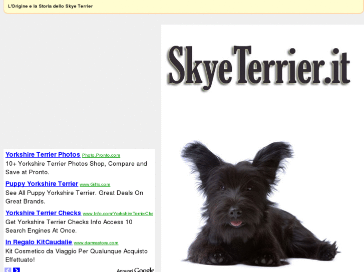 www.skyeterrier.it