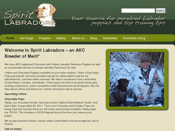 www.spiritlabradors.com