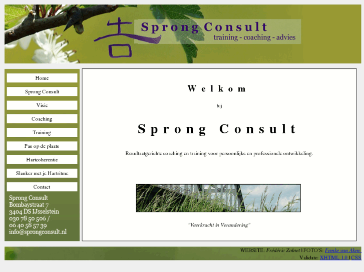 www.sprongconsult.nl