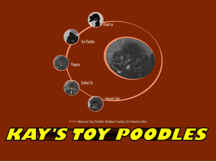 www.toy-poodles.com