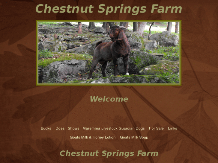 www.chestnutspringsfarm.net