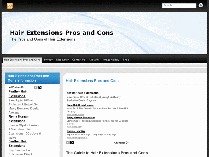 www.hairextensionsprosandcons.net