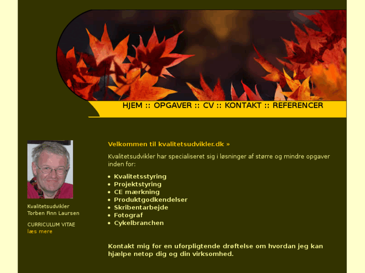 www.kvalitetsudvikler.dk