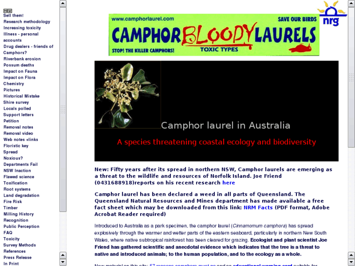www.camphorlaurel.com