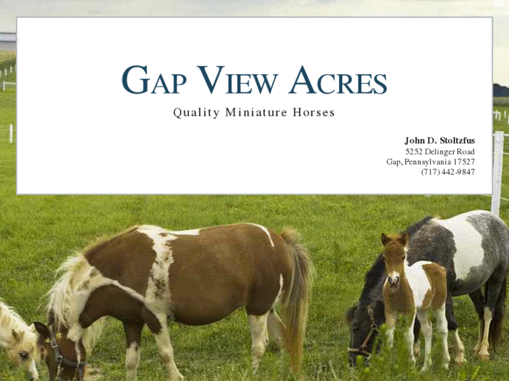 www.gapviewacres.com