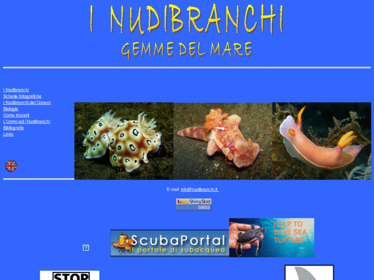 www.nudibranchi.it